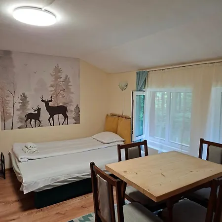 Sveti Dimitar 2* Borovec