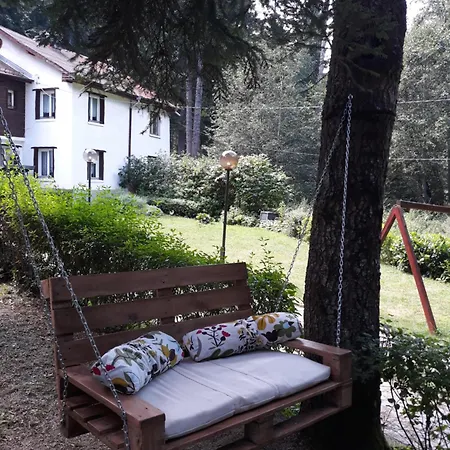 Sveti Dimitar 2*